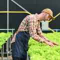 Farming without chemicals: modern eco-friendly technologies